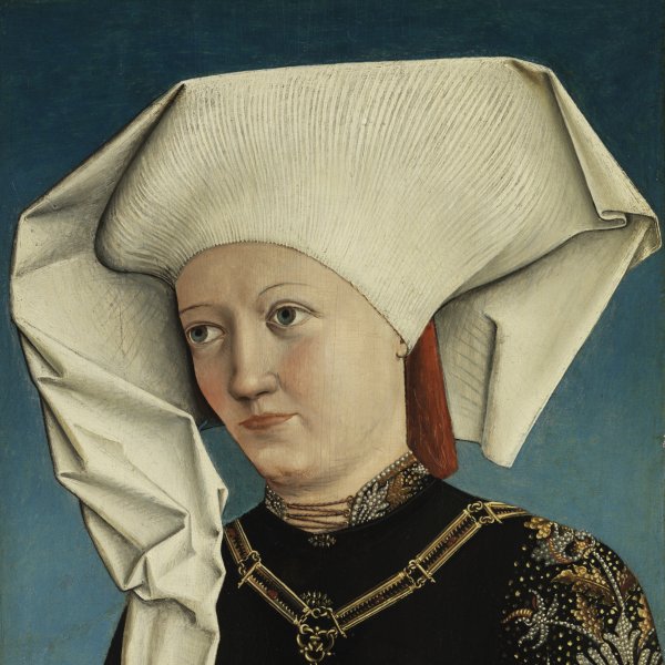 Portrait of a Lady wearing the Order of the Swan