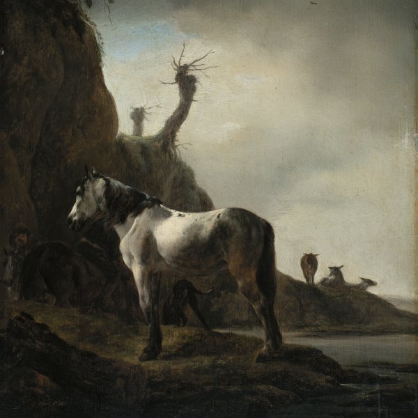 White Horse on a River Bank