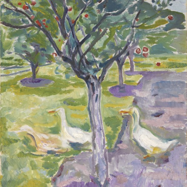 Geese in an Orchard