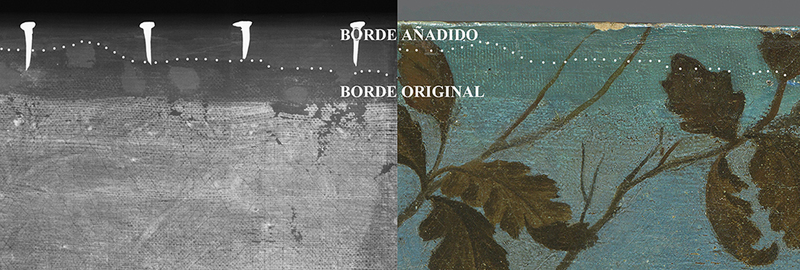 detalles visibles bajo rayos x del reverso de la obra