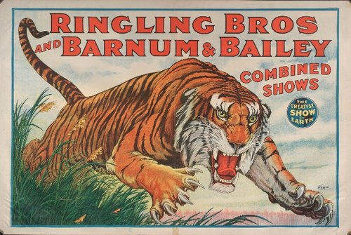 Cartel del circo Ringling Bros. and Barnum & Bailey usado como referencia para el tigre