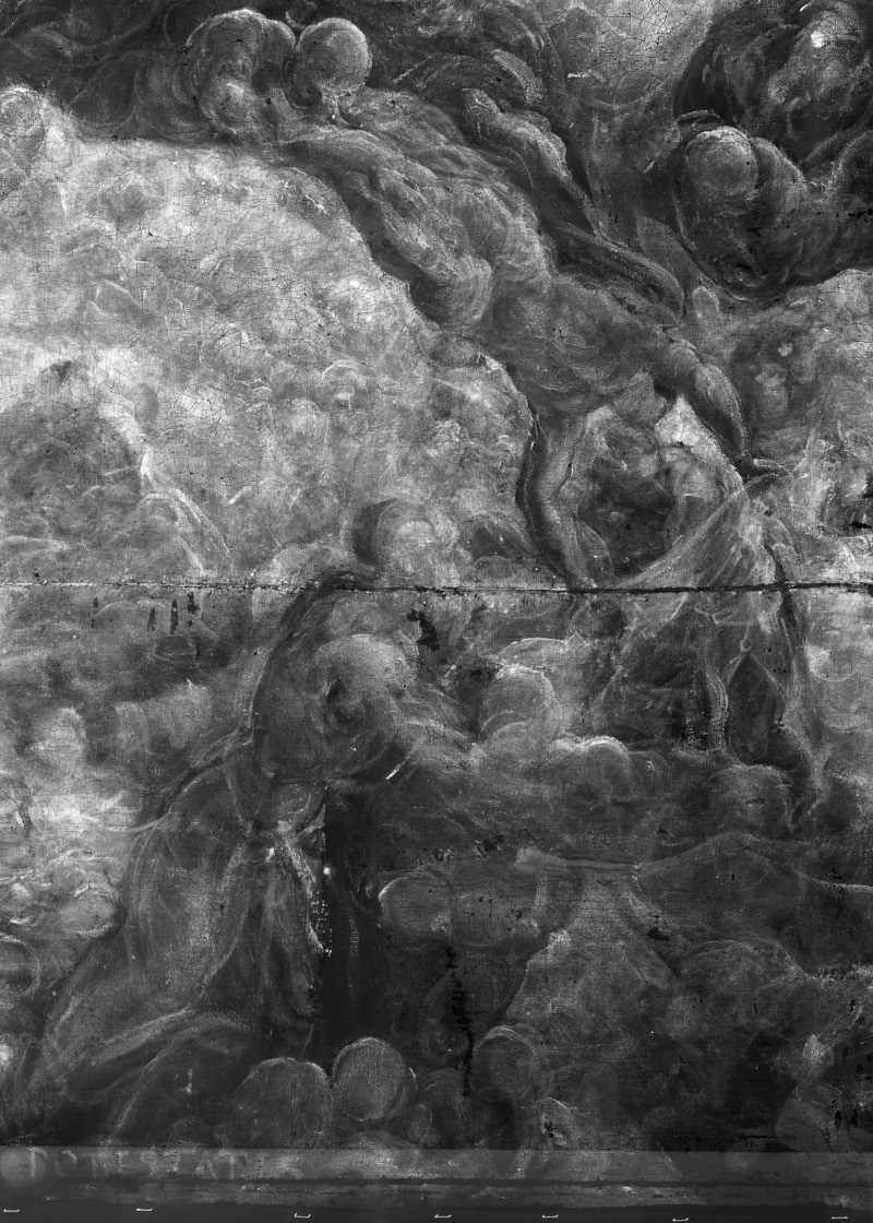 Detalle de la imagen radiográfica