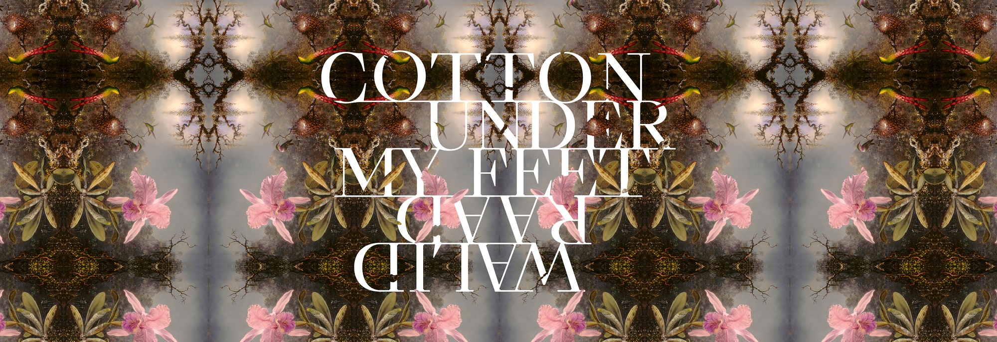 Imagen de la exposición de Walii Raad "Cotton under my feet"