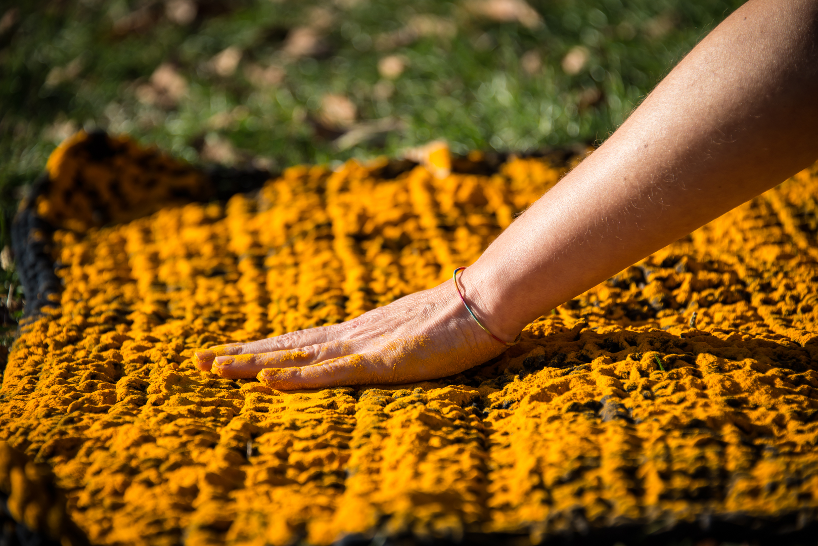 Performance de María Vallina