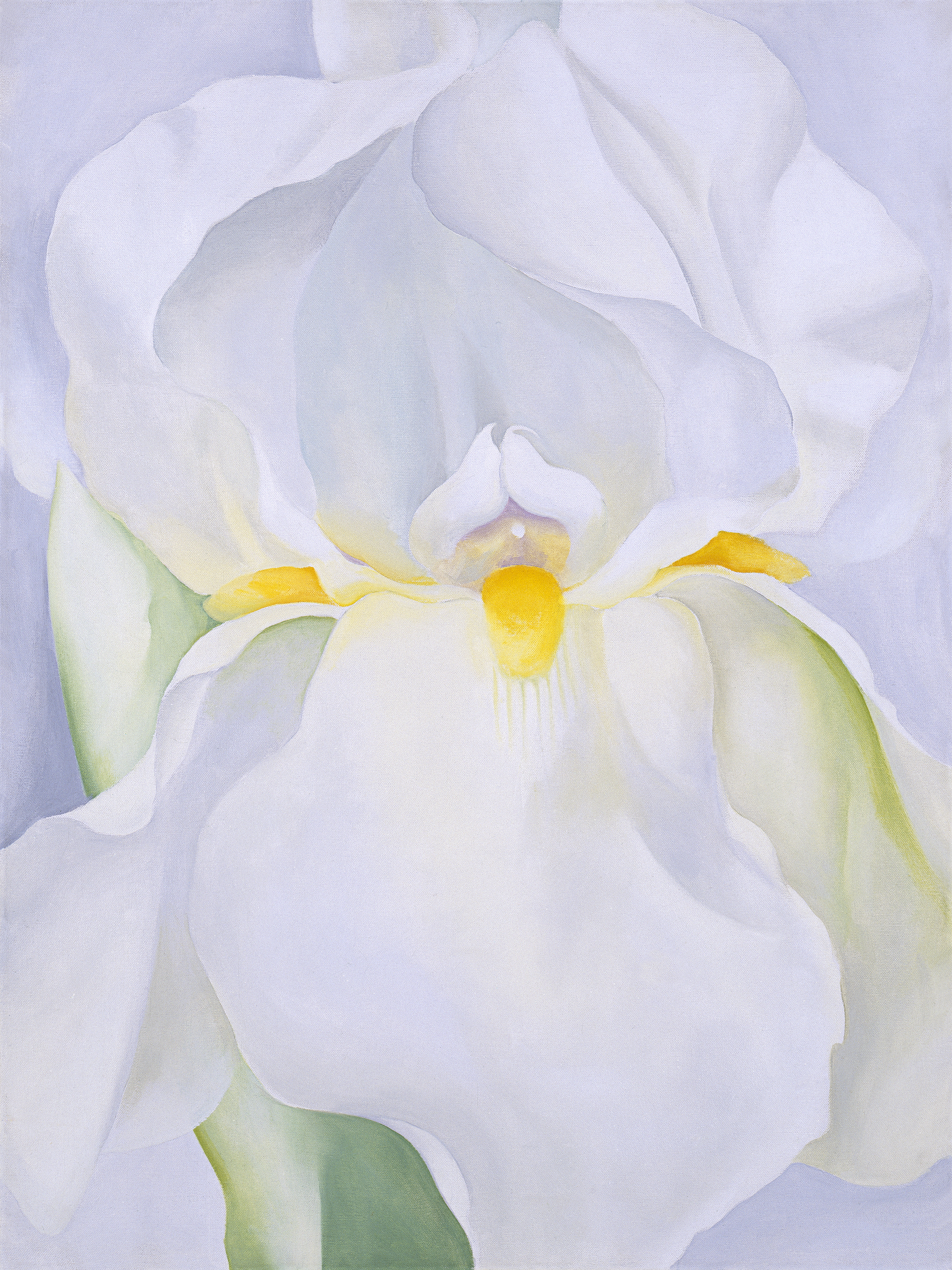 Georgia O'Keeffe White Iris No. 7