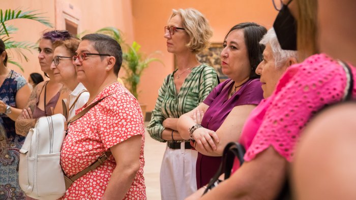 Visitas a la colección