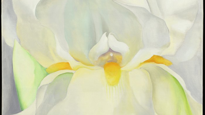 Visita guiada La belleza del caos: sobre la complejidad de la naturaleza
