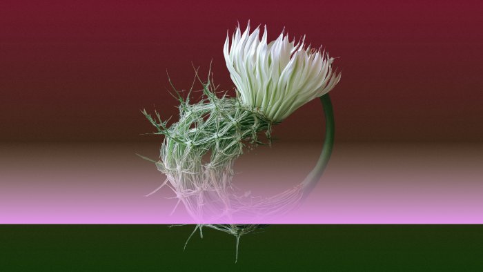 Foragers, by Jumana Manna: screening and conversation with Sonia Fernández Pan and Skye Arundhati Thomas