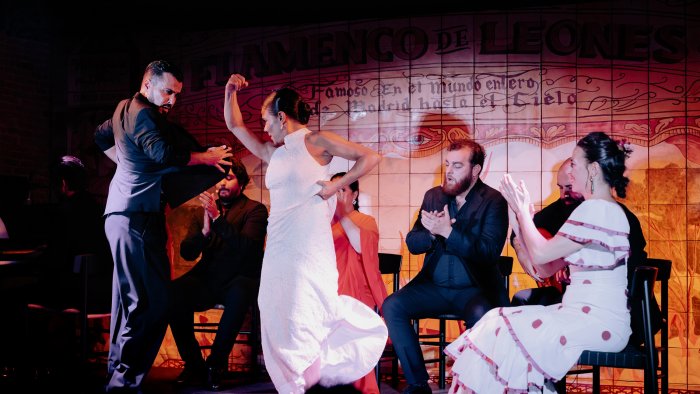 Art &amp;amp; Flamenco