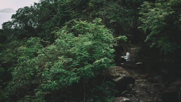 Interspecies Affections: Love, Plants, and Politics, screening + online conversation