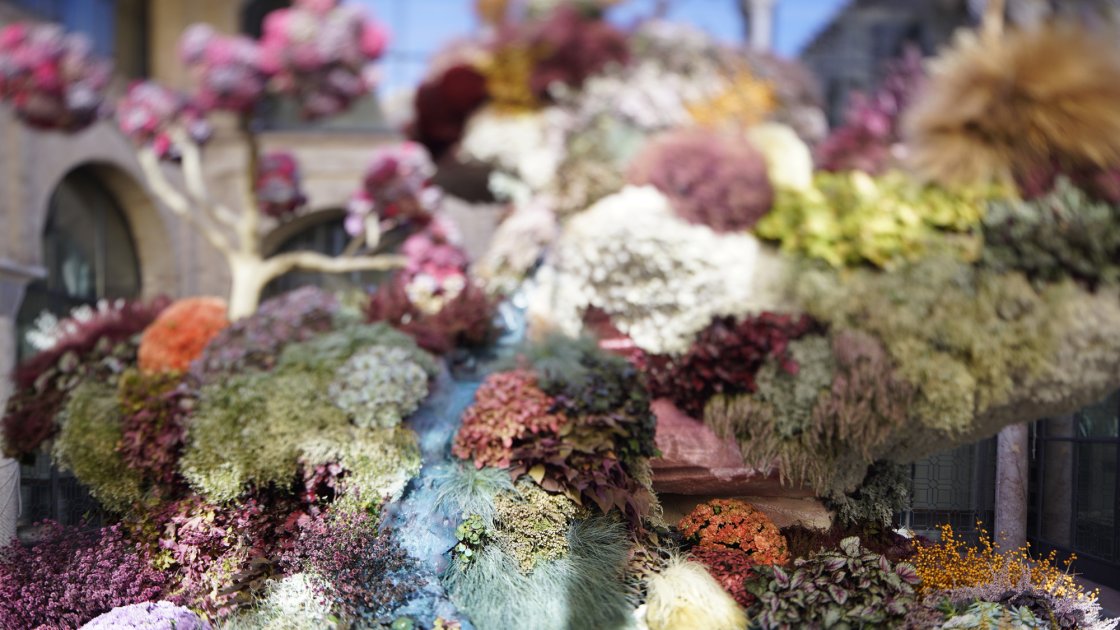 (c) Festival FLORA. Eduardo Nave. Instalación de Isabel Marías para FLORA en el Museo Taurino de Córdoba, 2017 