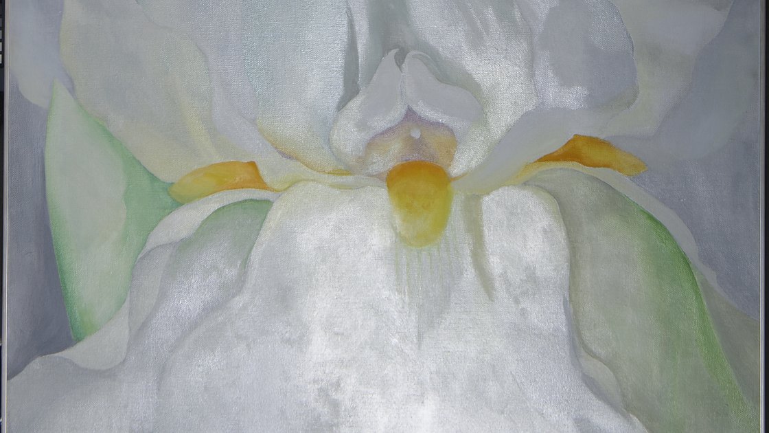 Imagen rasante de la obra “Lirio blanco n.º 7”, 1957