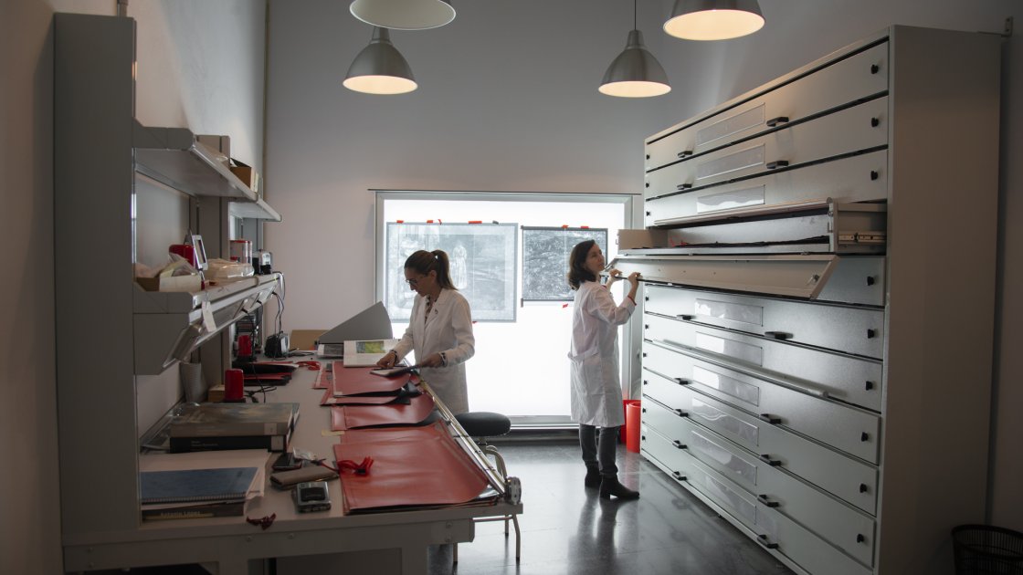 Restauradora realizando trabajos de investigación radiográfica