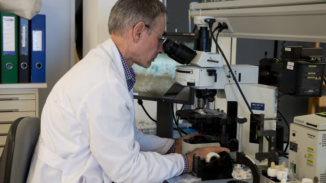 Proyectos de investigación: laboratorio de materiales