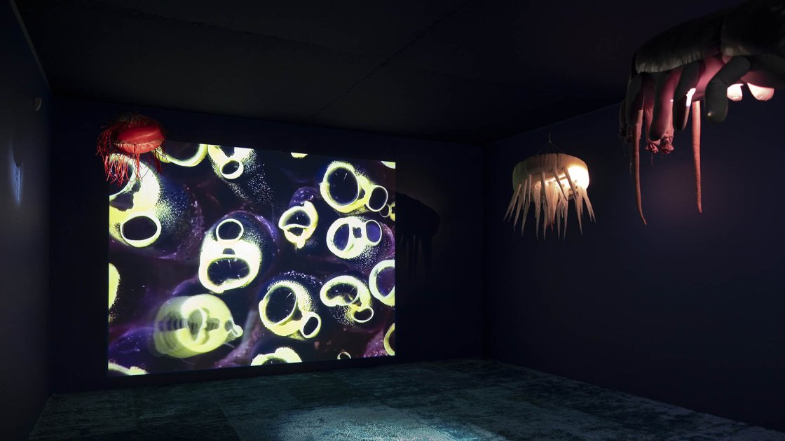 Ann Duk Hee Jordan. Ziggy and the Starfish, 2018. Vista de la instalación en el Moderna Museet Malmö, Suecia. Foto: Helene Toresdotter 