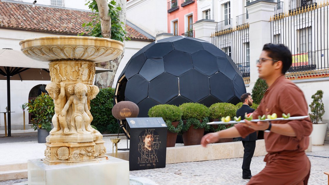Art Vivant: Hotel Palacio de los Duques Gran Meliá