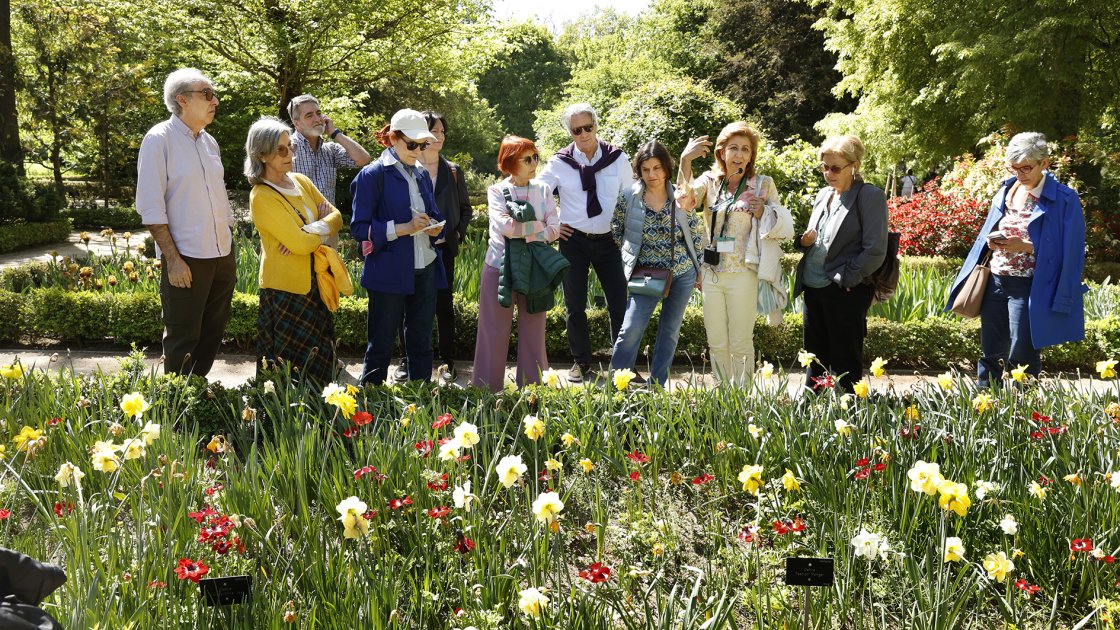 Actividad "Las 4 estaciones": Visita de los Amigos al Real Jardín Botánico