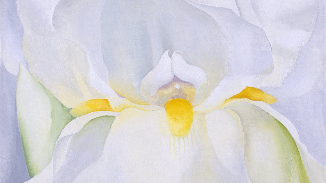 Lirio blanco nº 7. Georgia O'keeffe