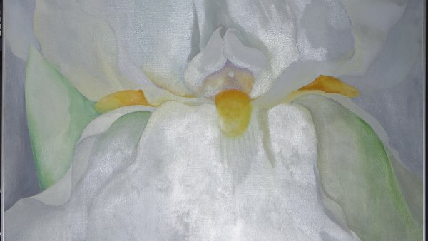 The creation of metallic soaps in oil paints
