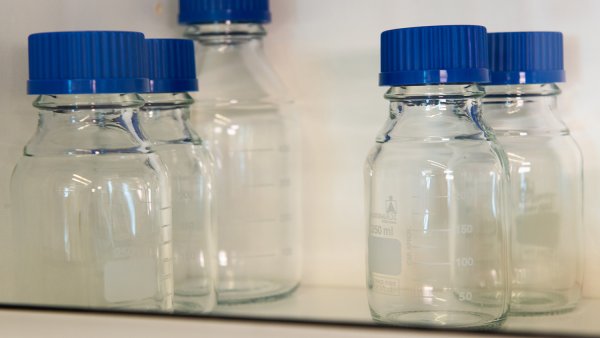 Aceite de Nuez