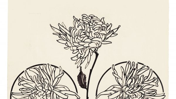 Eulogio Varela. Chrysanthemums, Blanco y Negro, no. 707
