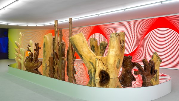 Claudia Comte. After Nature
