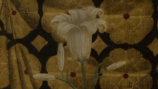 Detail of the iris flower 