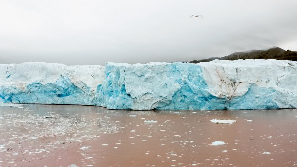 V Simposio de Arte y Ciencia CNIO Arte 2024: El arte, la ciencia y la ecología ante el cambio climático
