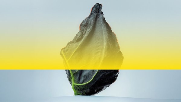 Trabajos de la Tierra (hacia una arquitectura de la reparación), con Paulo Tavares