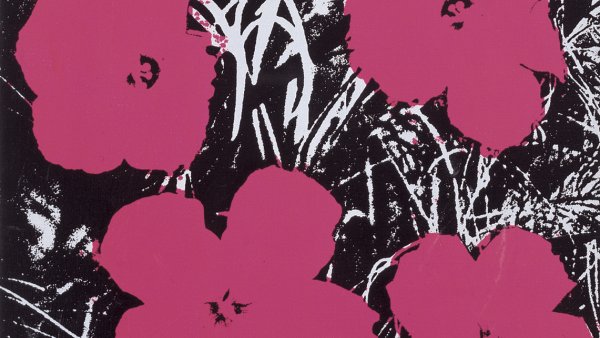Acceso gratuito a la exposición Warhol, Pollock y otros espacios americanos