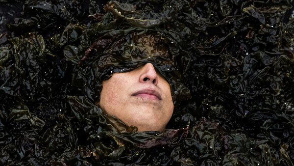 Seba Calfuqueo. Cautín