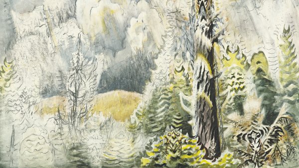 Climate Emergency