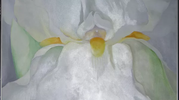 The creation of metallic soaps in oil paints