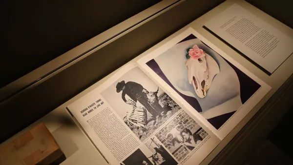 Artículo de la revista LIFE