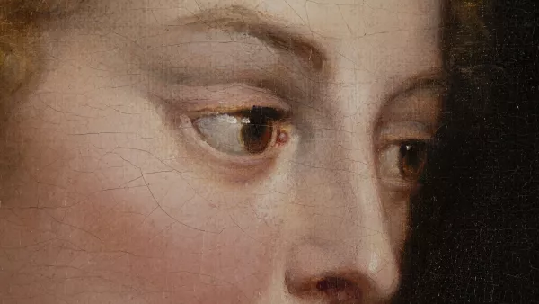 Explora la obra en detalle