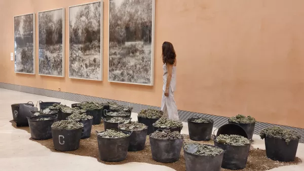 Free access to Carmen Laffón. Variations