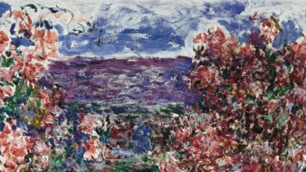 monet_conferencia_2010
