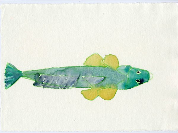 Joan Jonas. Moving Off the Land II