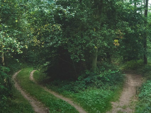 Return to Nature