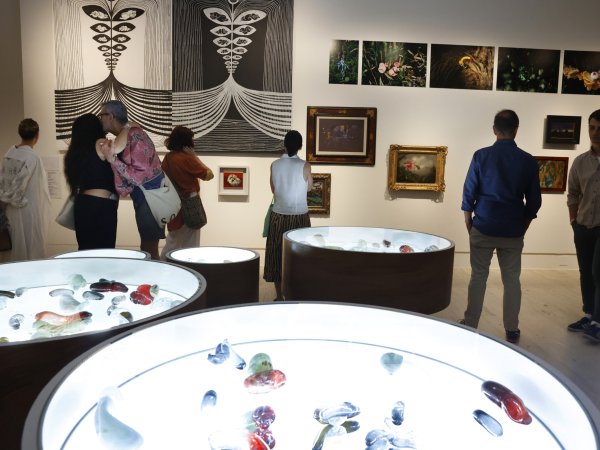 Terrafilia: amar la Tierra a través del arte