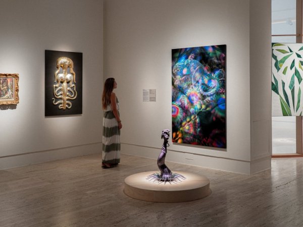 Pasea por las salas de la exposición