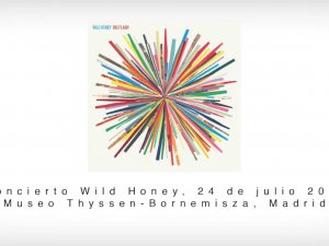 "Concierto del grupo Wild honey en el jardín"