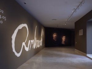 Curva de las exposiciones temporales 