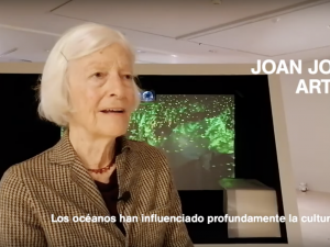 Joan Jonas entrevista