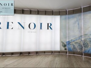 Curva de las exposiciones temporales "Renoir intimidad"