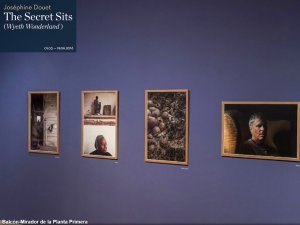Obras de la exposición de "The Secret Sits"