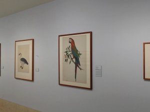 Obras de la exposición de "Visiones de la India"