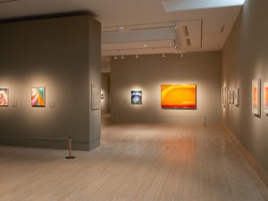 Salas de la exposición temporal Georgia O’Keeffe
