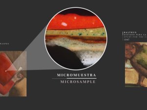 Detalle de la micromuestra tomada de la camisa de la figura masculina de “La partida de naipes” 