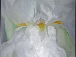 Raking light of the painting “White Iris No. 7”, 1957